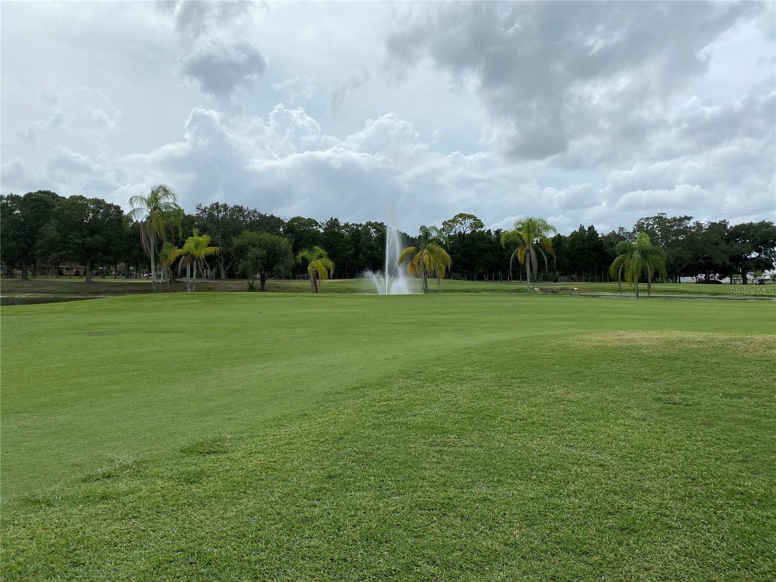 800 COVE CAY DR #5D, CLEARWATER, FL — photo 29