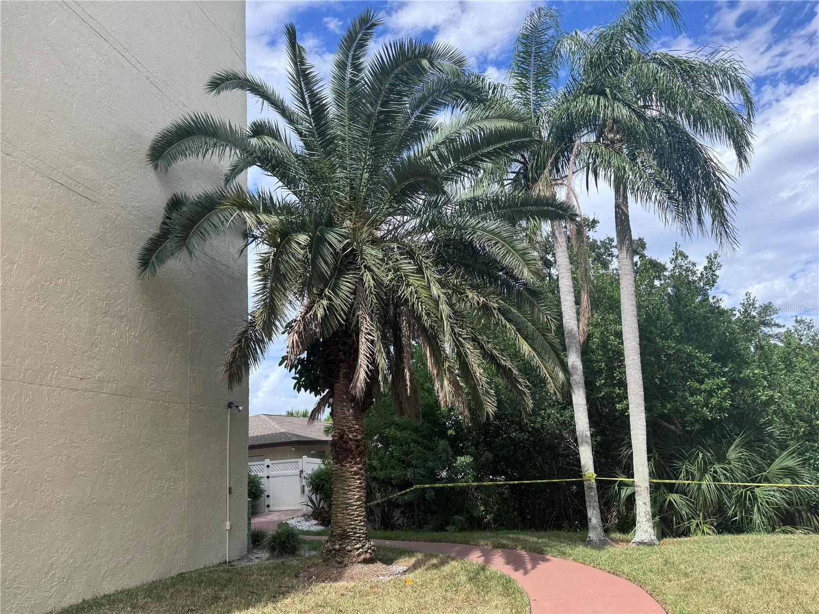 800 COVE CAY DR #5D, CLEARWATER, FL — photo 34