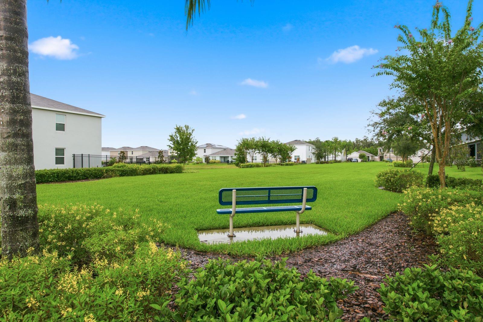 16119 GLOWING GROVE AVE, ODESSA, FL — photo 43
