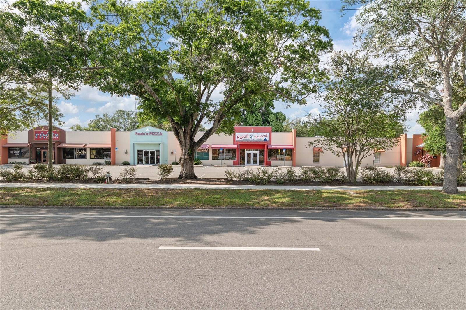 6295 CENTRAL AVE, ST PETERSBURG, FL — photo 3