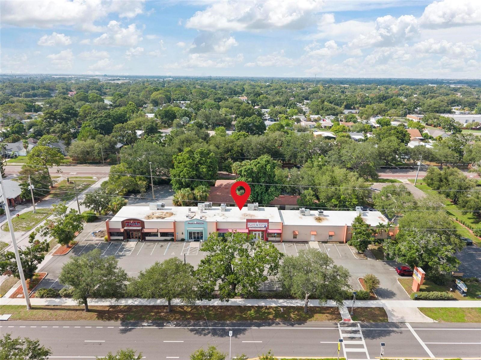 6295 CENTRAL AVE, ST PETERSBURG, FL — photo 5