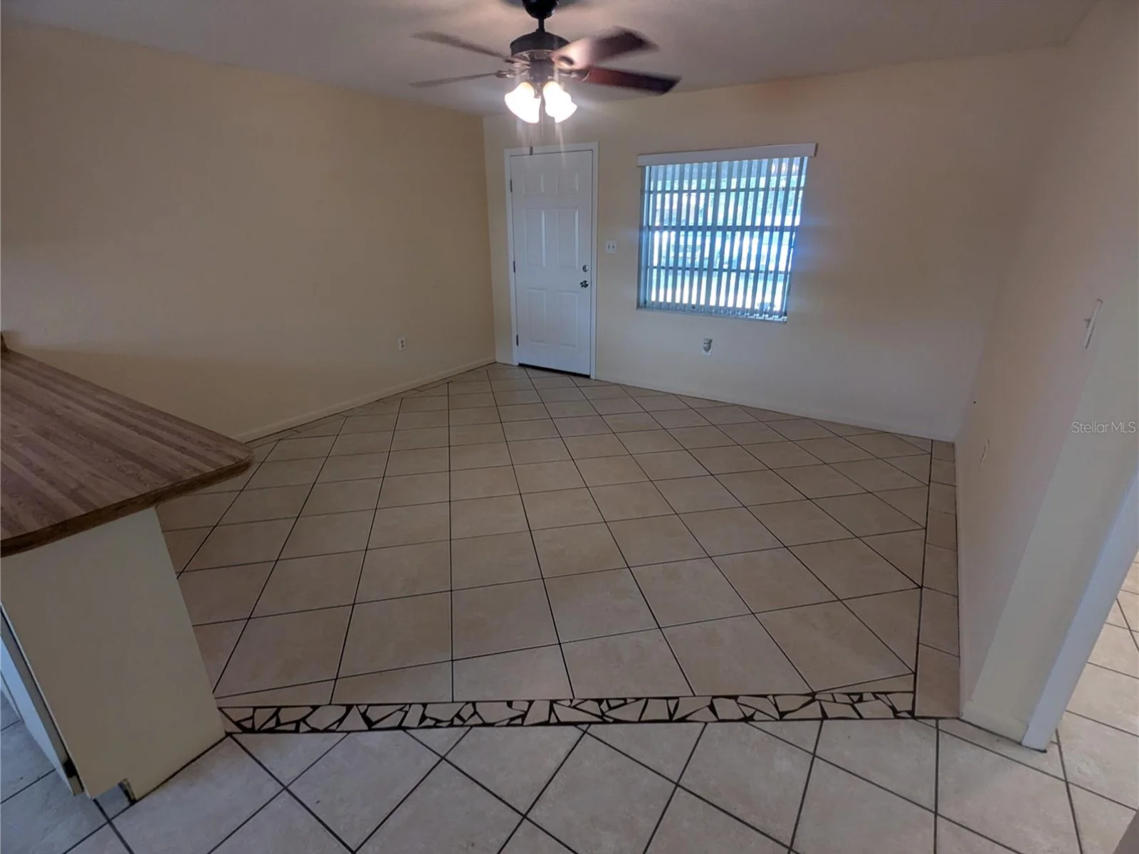 824 N SAINT CLAIR ABRAMS AVE, TAVARES, FL — photo 4