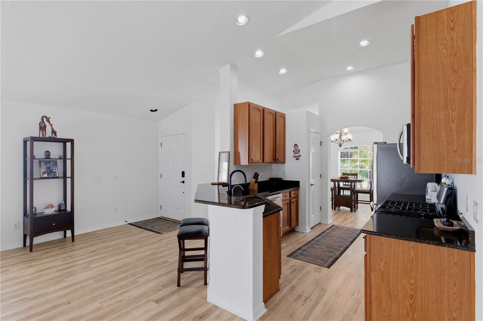 19406 SUNSET BAY DR, LAND O LAKES, FL — photo 9