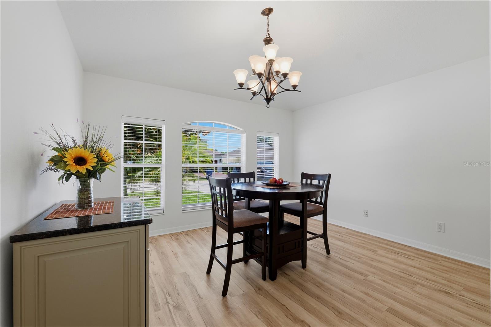 19406 SUNSET BAY DR, LAND O LAKES, FL — photo 12