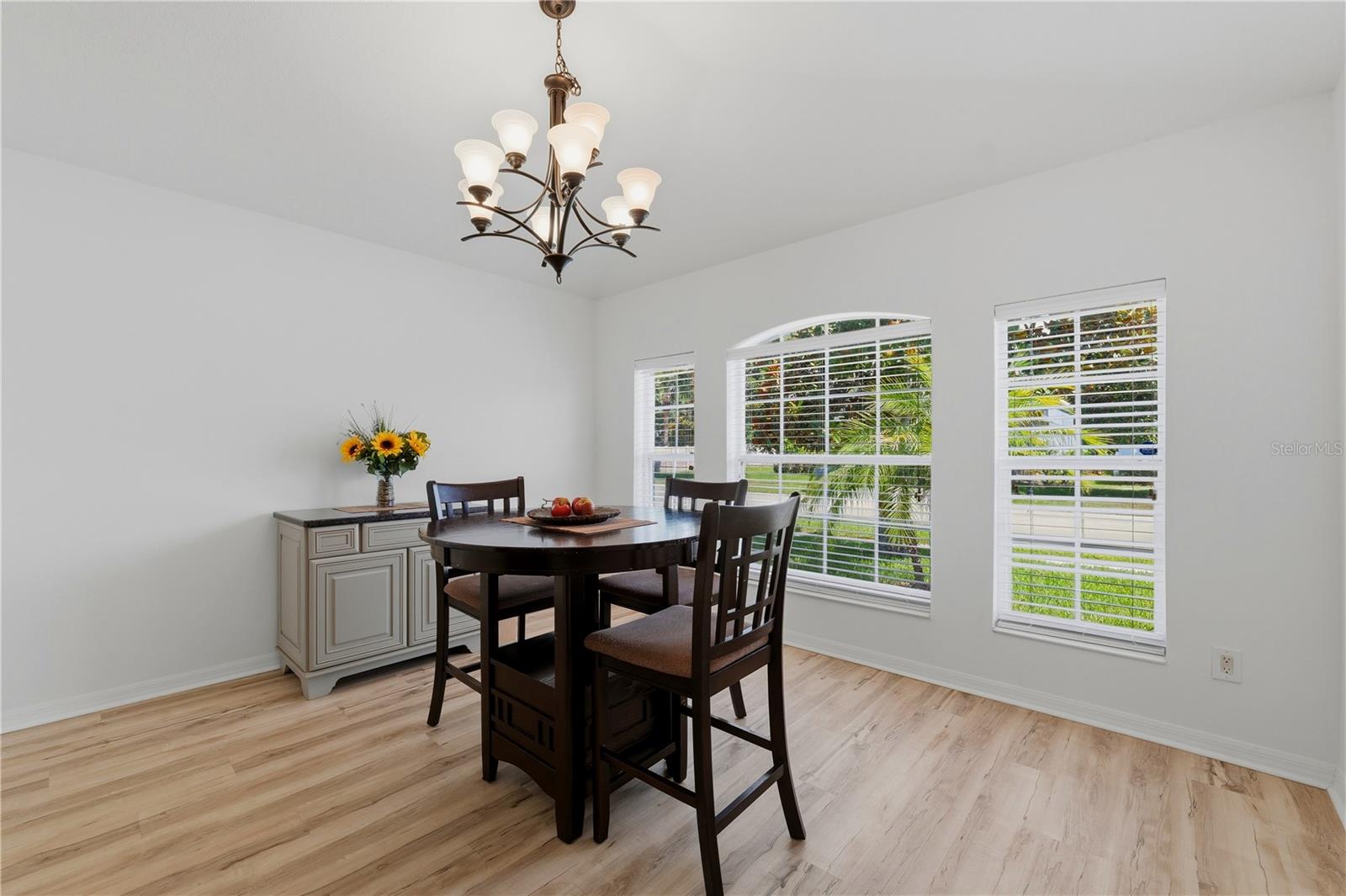 19406 SUNSET BAY DR, LAND O LAKES, FL — photo 13