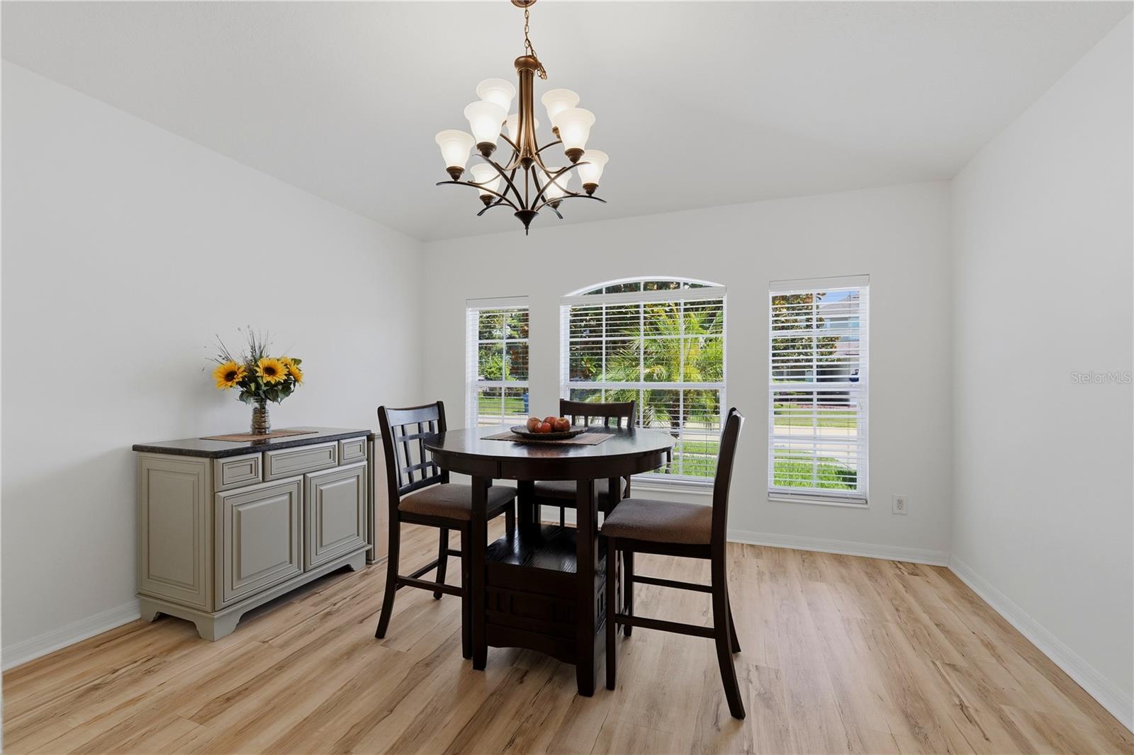 19406 SUNSET BAY DR, LAND O LAKES, FL — photo 14