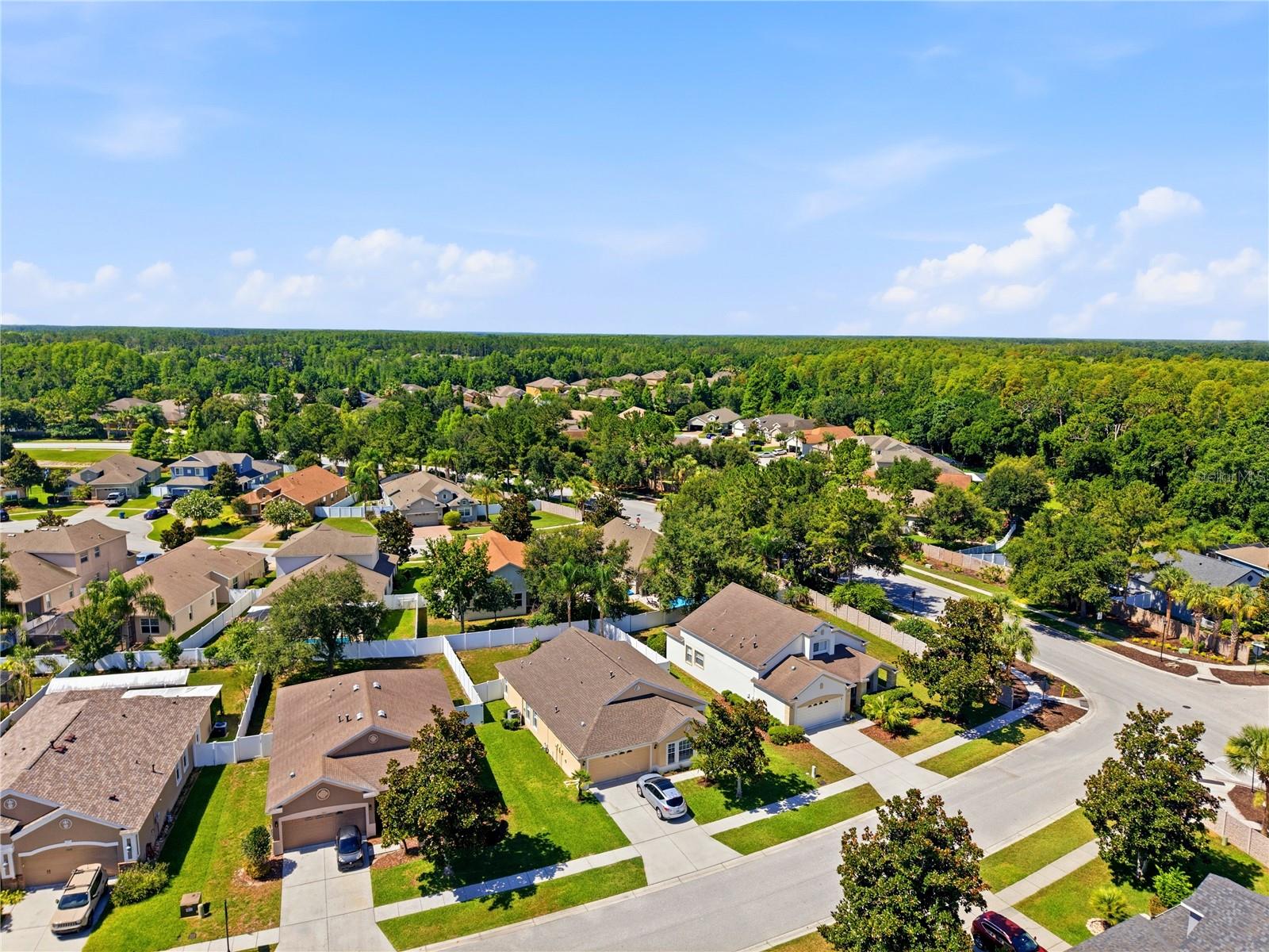 19406 SUNSET BAY DR, LAND O LAKES, FL — photo 41