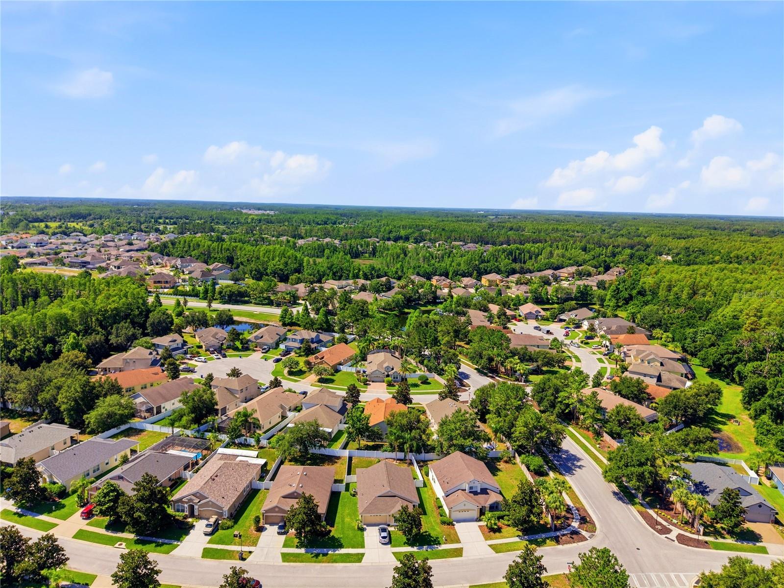 19406 SUNSET BAY DR, LAND O LAKES, FL — photo 42