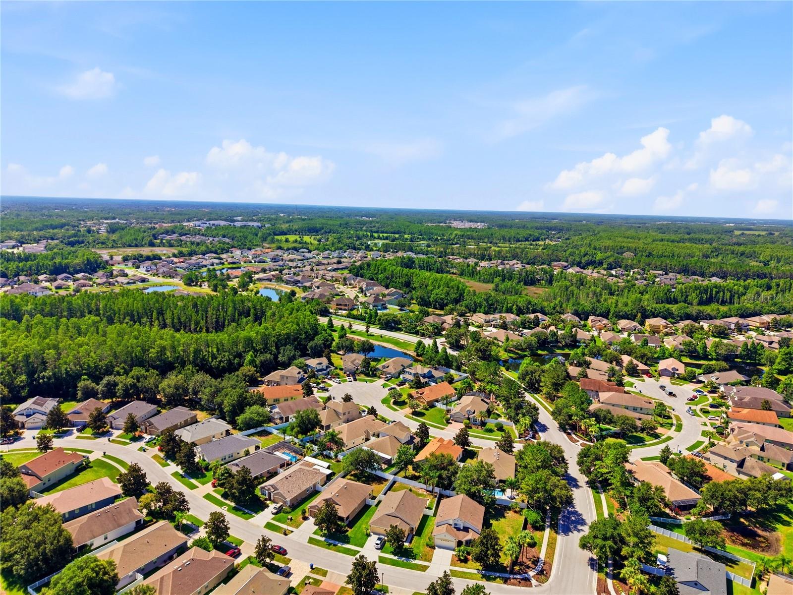 19406 SUNSET BAY DR, LAND O LAKES, FL — photo 43