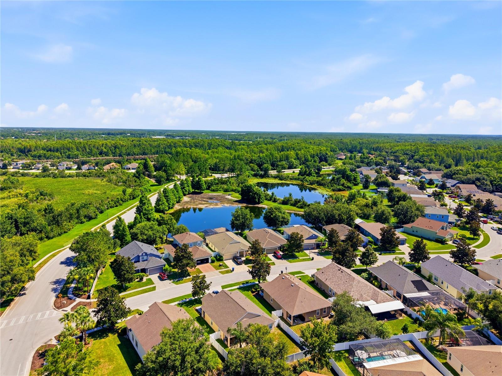 19406 SUNSET BAY DR, LAND O LAKES, FL — photo 44