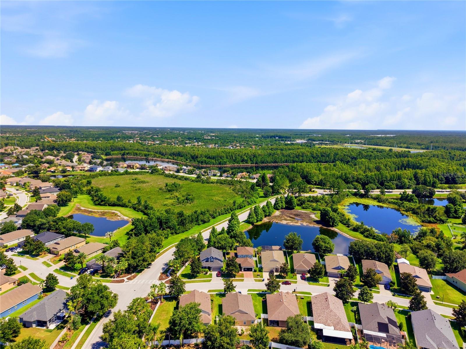 19406 SUNSET BAY DR, LAND O LAKES, FL — photo 45