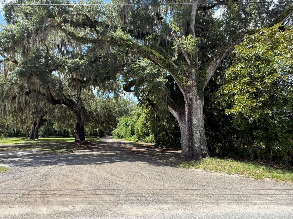 00 SE 71ST AVE, HAWTHORNE, FL — photo 11