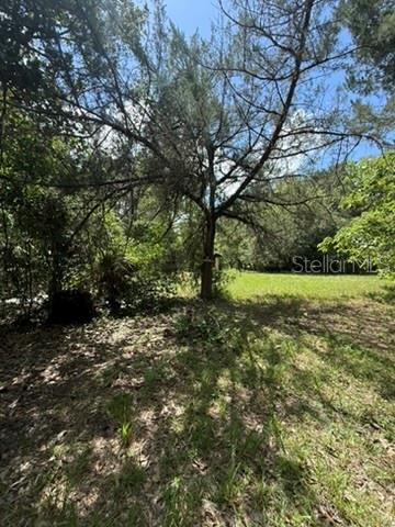 00 SE 71ST AVE, HAWTHORNE, FL — photo 17