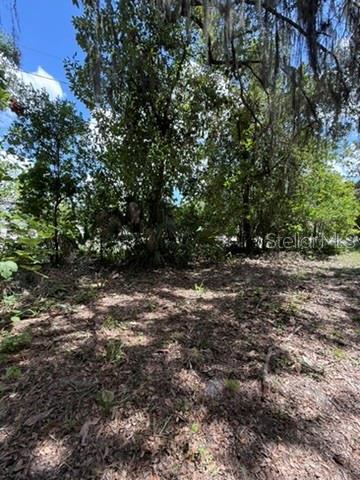 00 SE 71ST AVE, HAWTHORNE, FL — photo 18