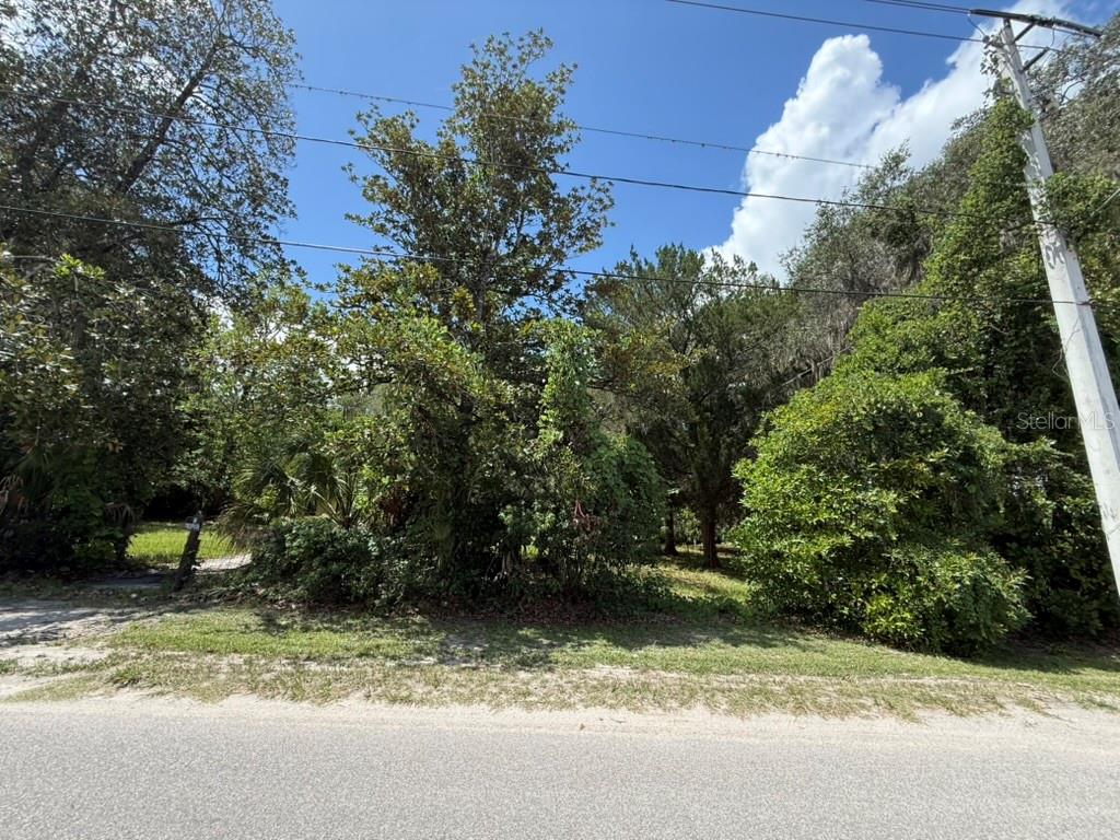 00 SE 71ST AVE, HAWTHORNE, FL — photo 25