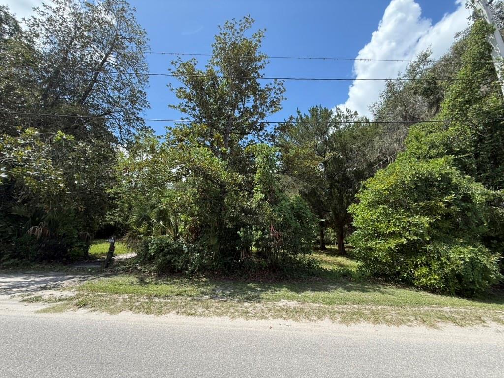 00 SE 71ST AVE, HAWTHORNE, FL — photo 26