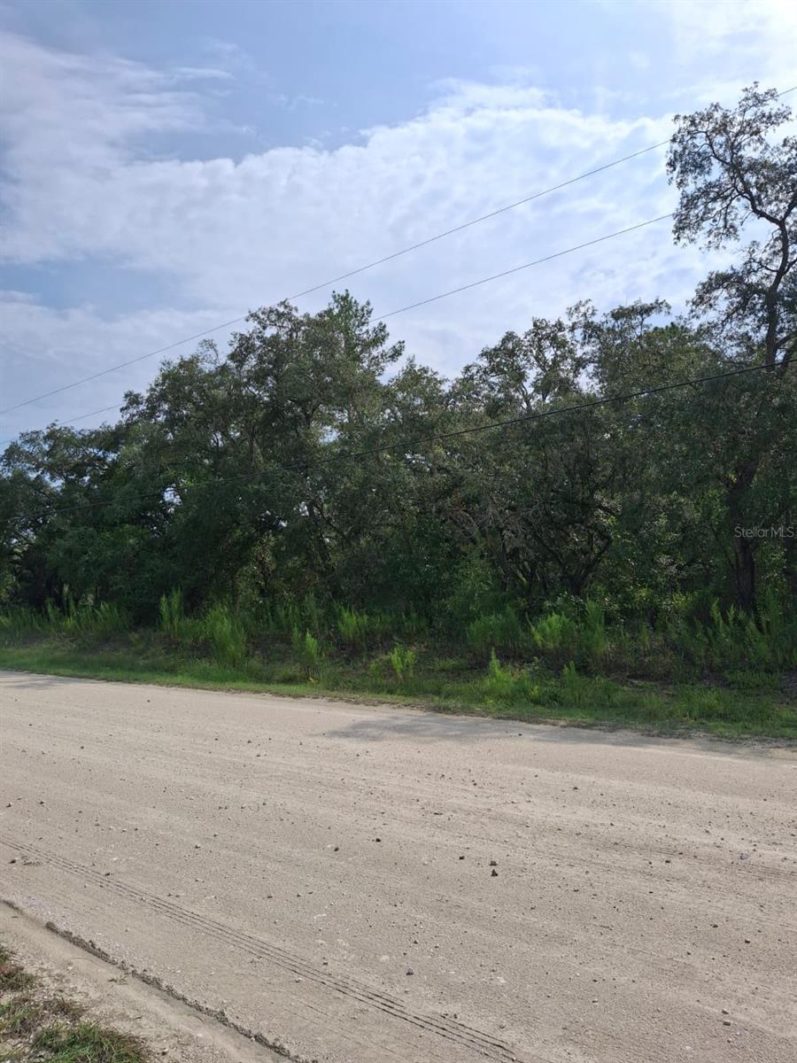 18364 PARAKEET RD, WEEKI WACHEE, FL — photo 2