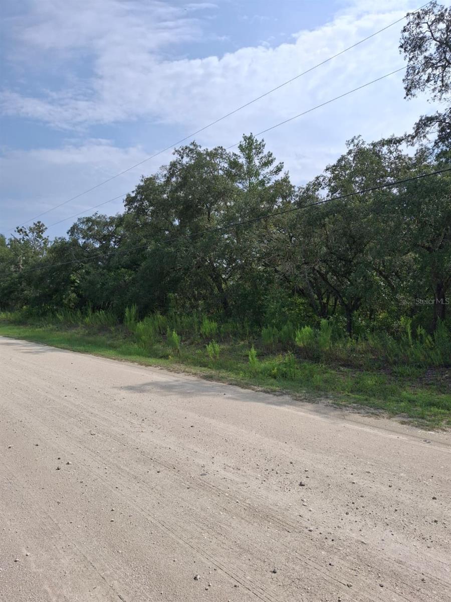 18364 PARAKEET RD, WEEKI WACHEE, FL — photo 3