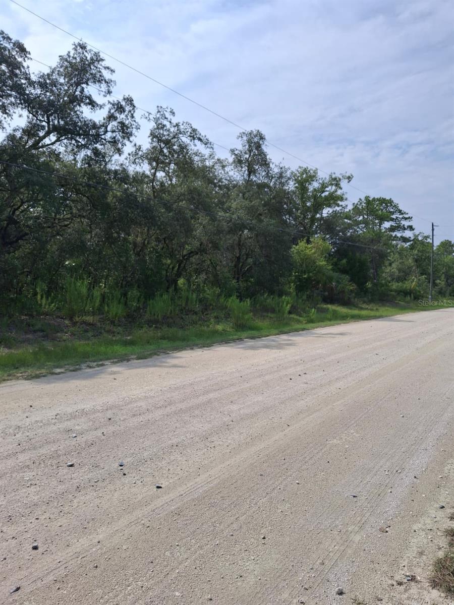 18364 PARAKEET RD, WEEKI WACHEE, FL — photo 4