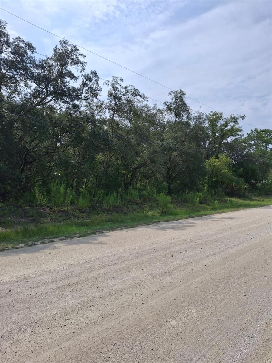18364 PARAKEET RD, WEEKI WACHEE, FL — photo 5