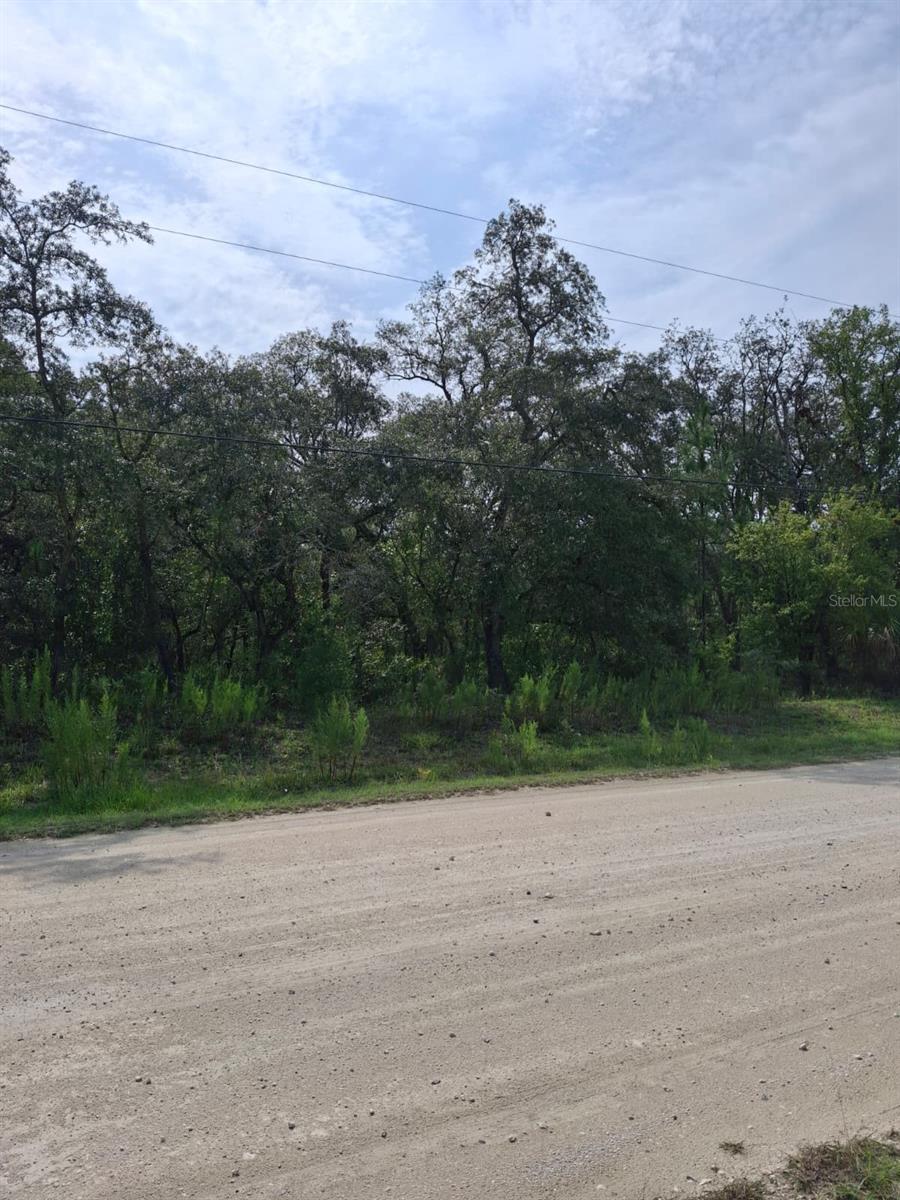18364 PARAKEET RD, WEEKI WACHEE, FL — photo 6