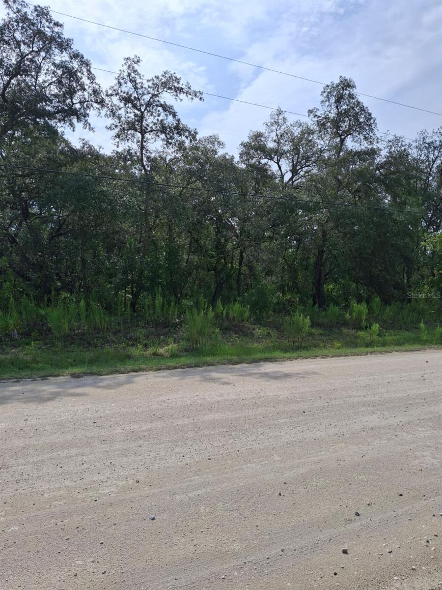 18364 PARAKEET RD, WEEKI WACHEE, FL — photo 8