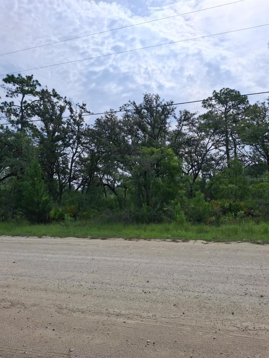 18308 PARAKEET RD, WEEKI WACHEE, FL — photo 2