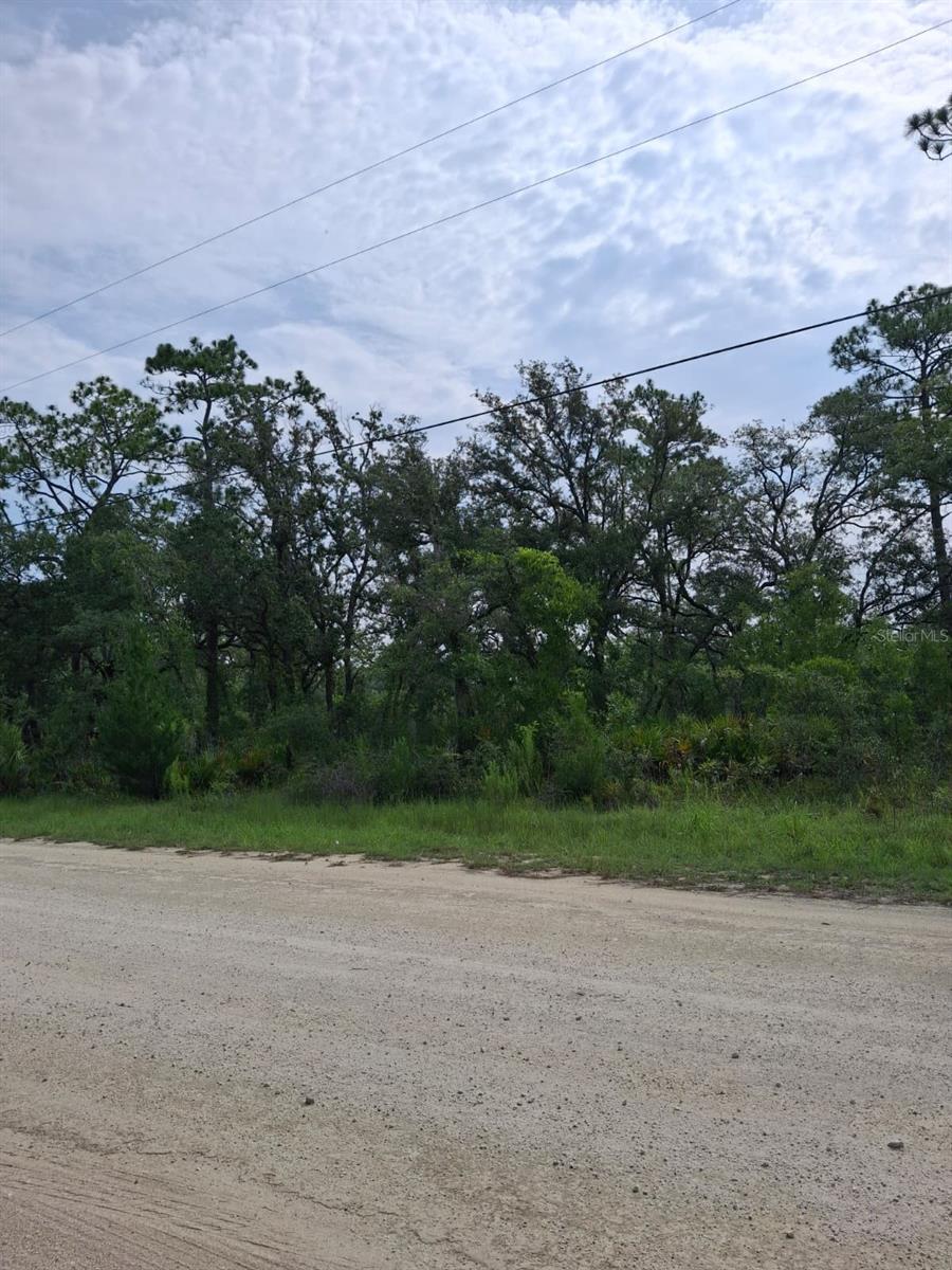 18308 PARAKEET RD, WEEKI WACHEE, FL — photo 3