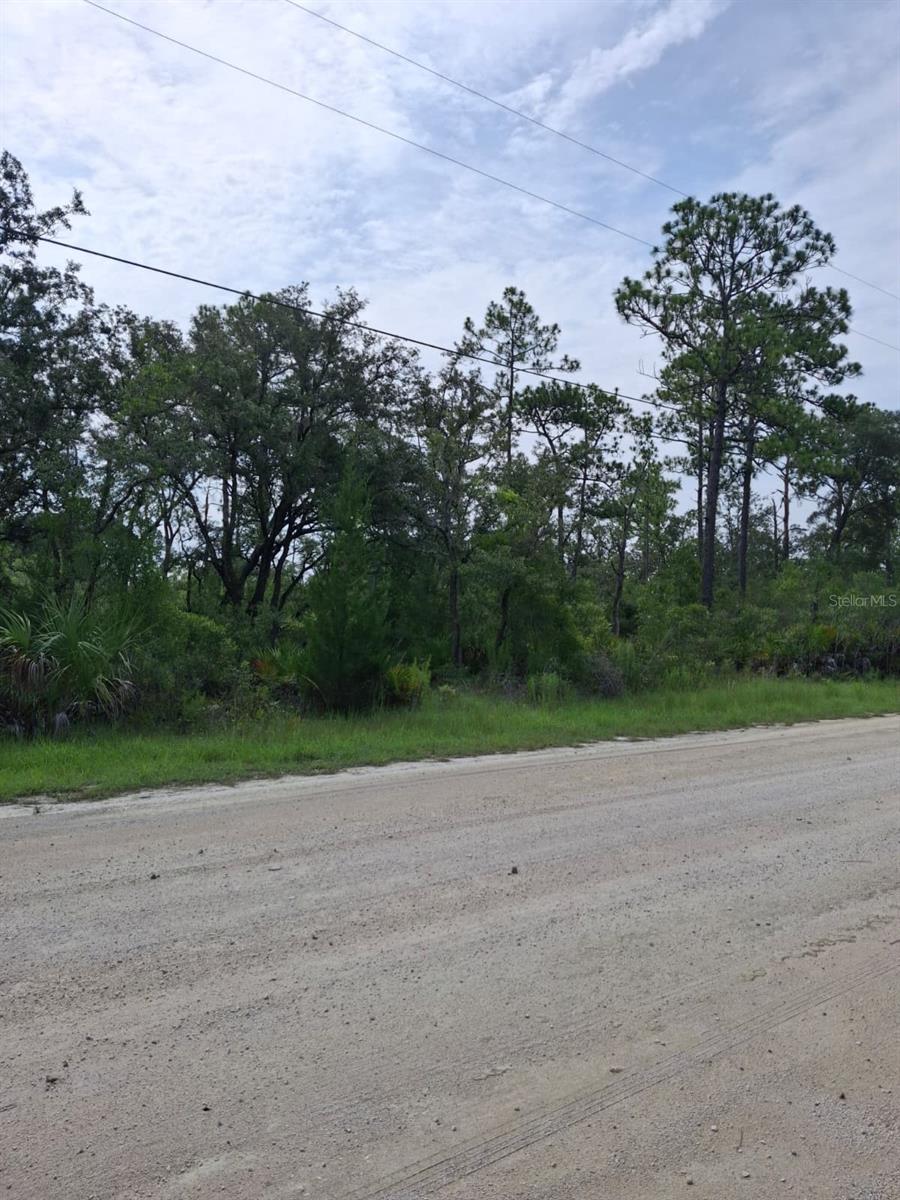 18308 PARAKEET RD, WEEKI WACHEE, FL — photo 7