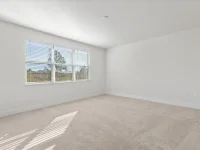 1398 PEACEFUL NATURE WAY — photo 21