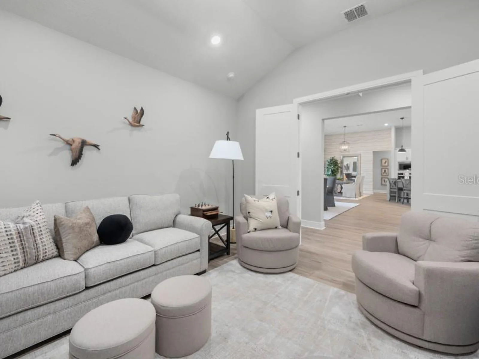 3841 SADDLE HILL TRL, FRUITLAND PARK, FL — photo 13