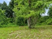 TROTTING HORSE LN — photo 10