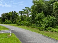 TROTTING HORSE LN — photo 12