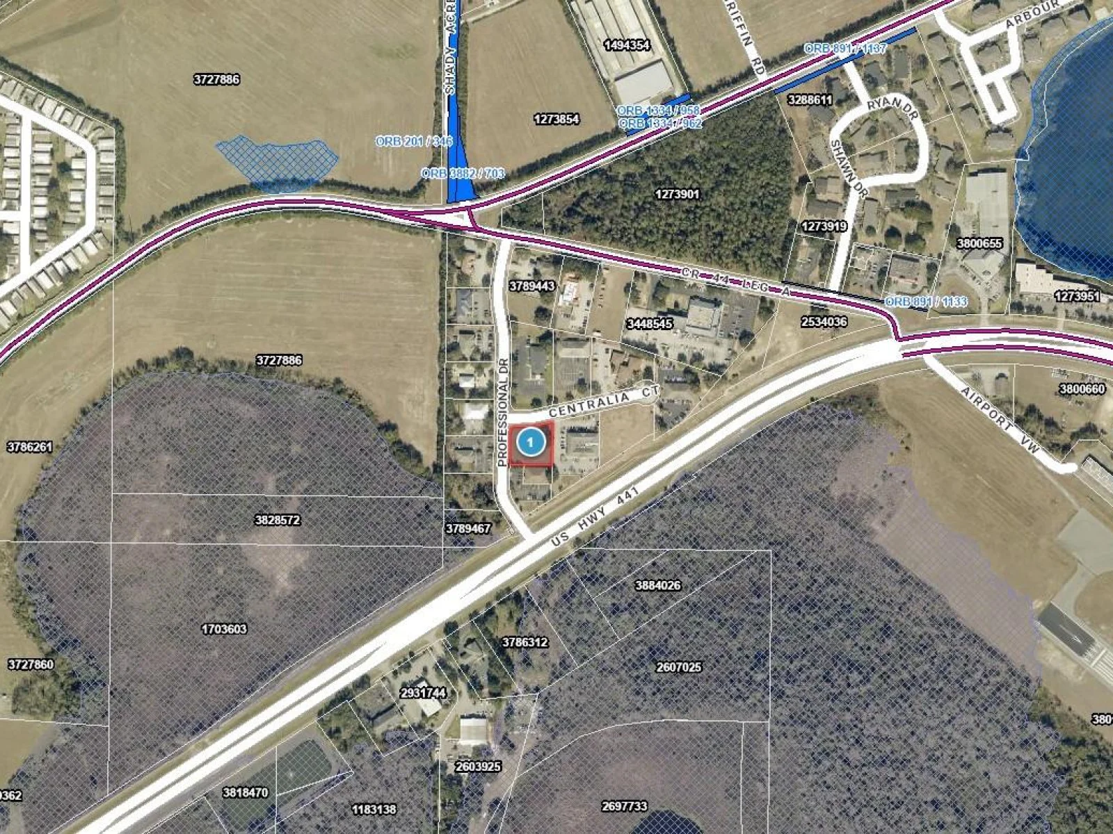 PROFESSIONAL DR, LEESBURG, FL — photo 3