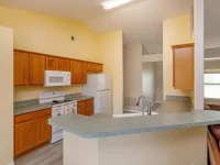 11316 VIA MARI CAE CT — photo 18