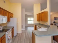 11316 VIA MARI CAE CT — photo 19