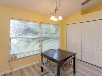 11316 VIA MARI CAE CT — photo 23