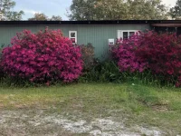 31304 HILLSIDE DR — photo 2