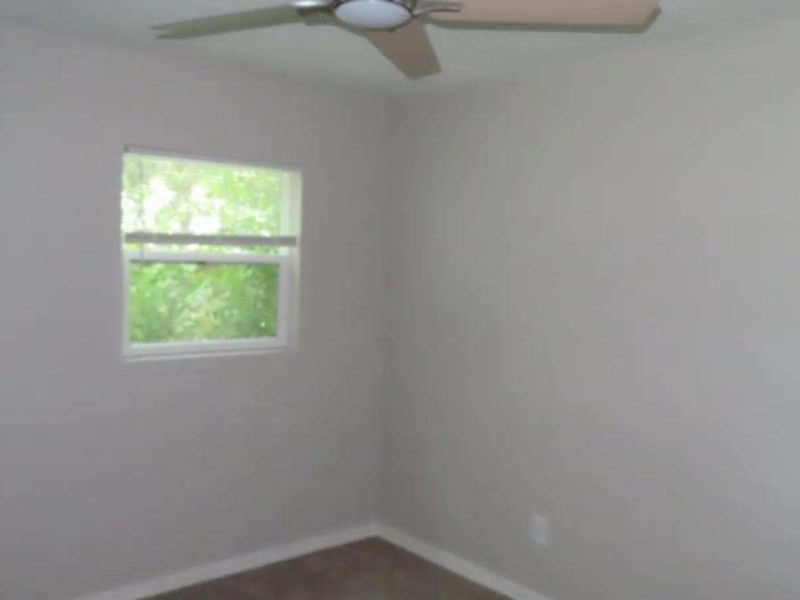 32730 BLOSSOM LN, LEESBURG, FL — photo 8