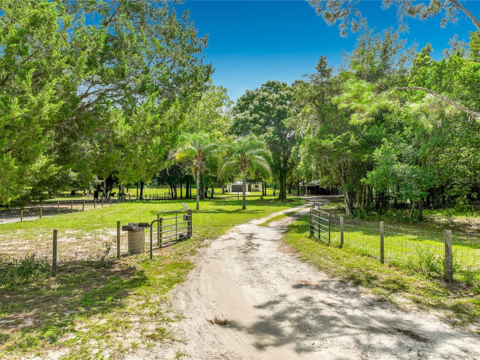 34814 WILLIAM LN, EUSTIS, FL — photo 4