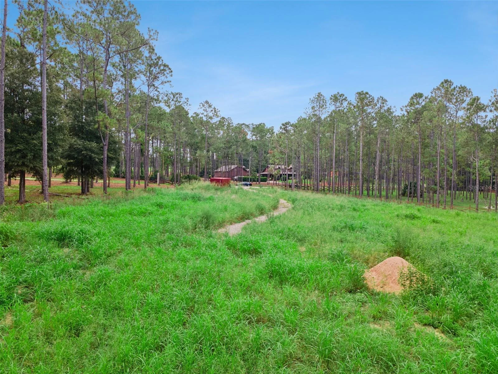 ANGELS LANDING CT, CLERMONT, FL — photo 5