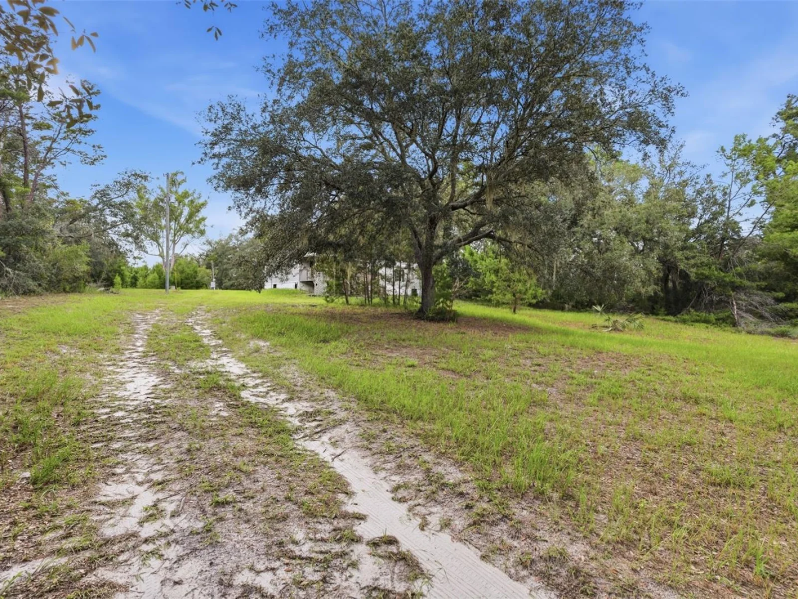 39913 SWIFT RD, EUSTIS, FL — photo 10