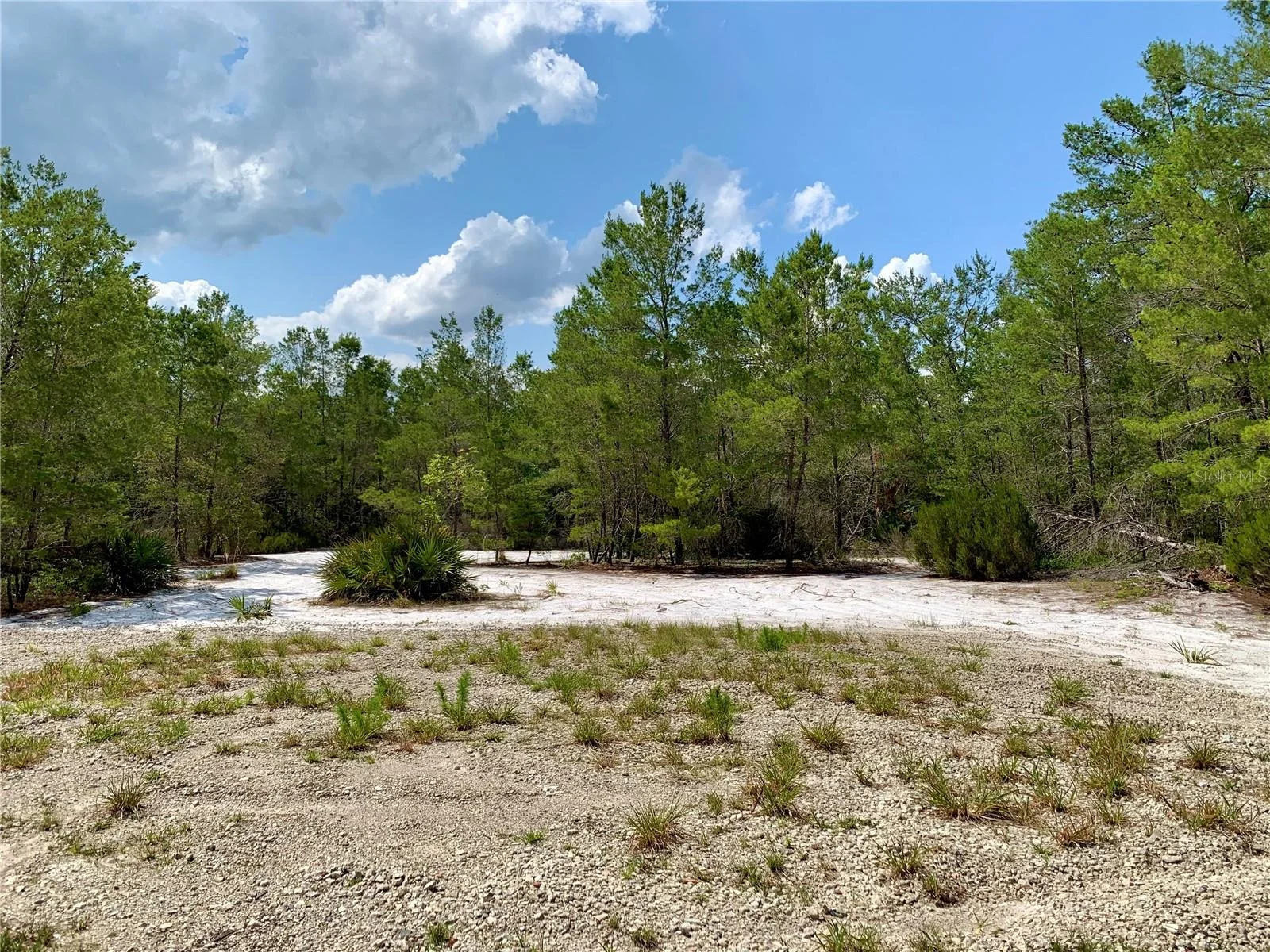 39627 GREENBRIER ST, EUSTIS, FL — photo 46