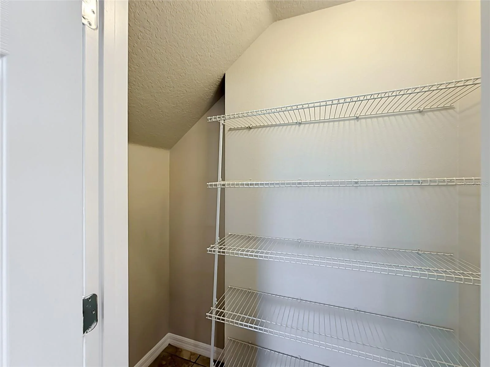 3319 BETHPAGE LOOP, MOUNT DORA, FL — photo 39