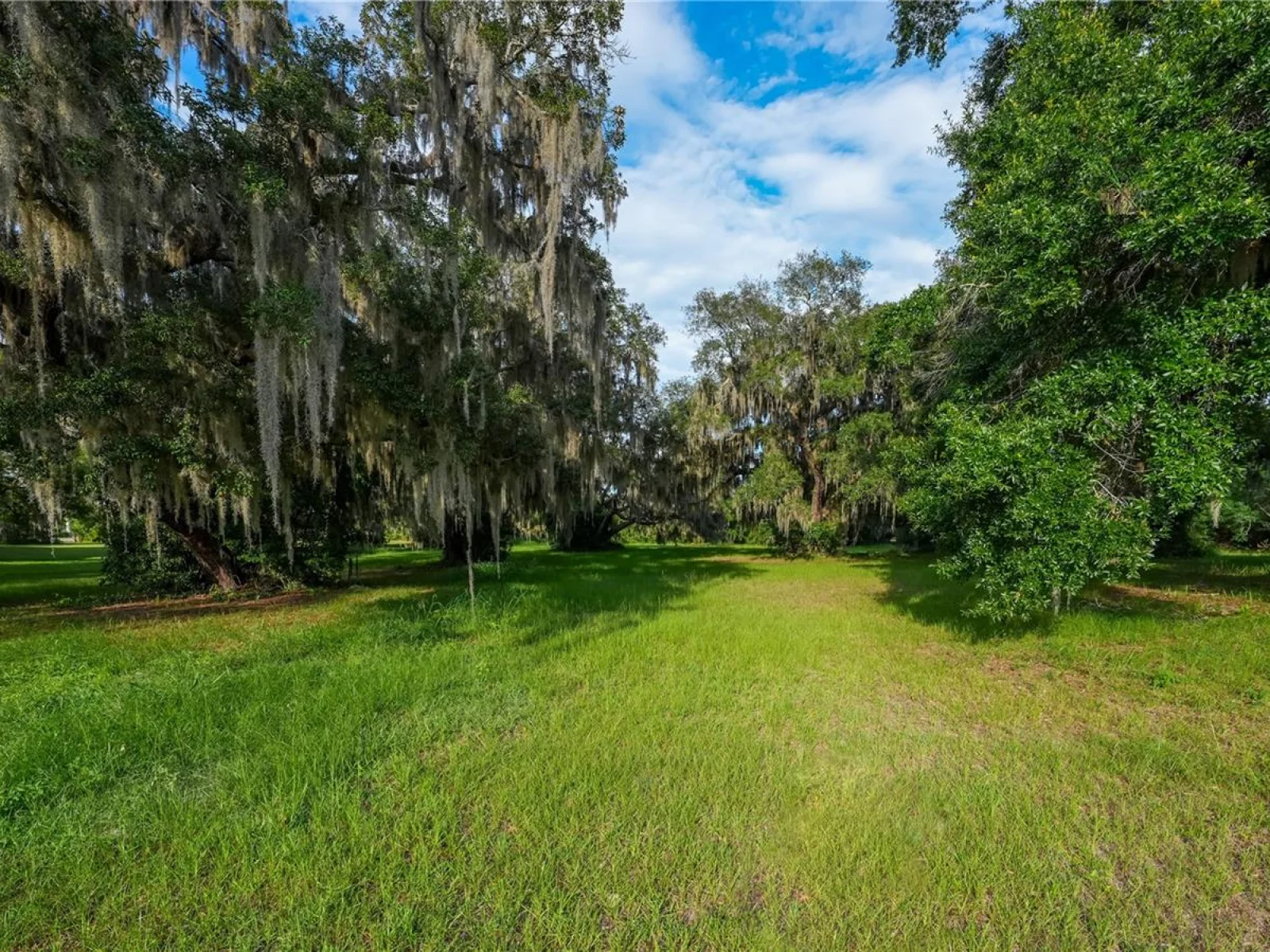 1925 COUNTY ROAD 19A, EUSTIS, FL — photo 22
