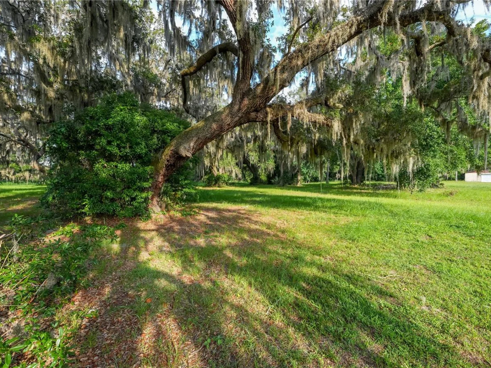1925 COUNTY ROAD 19A, EUSTIS, FL — photo 23