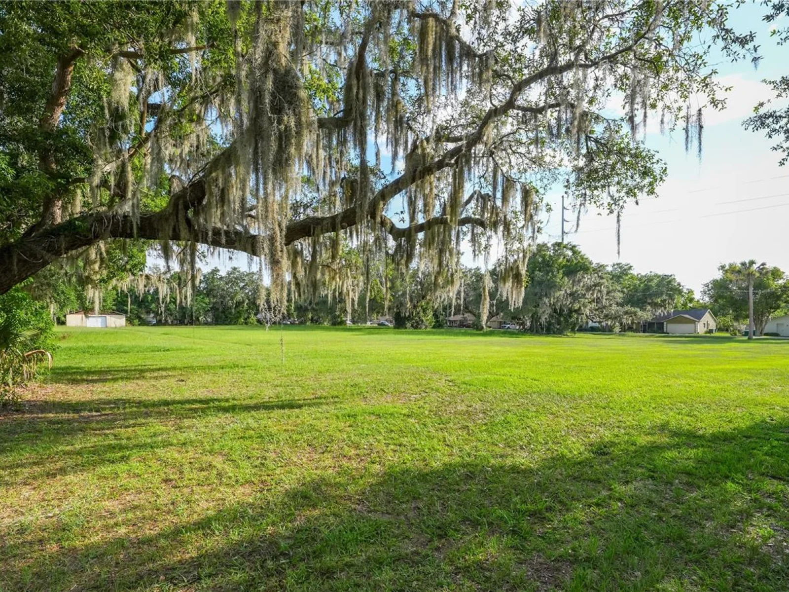 1925 COUNTY ROAD 19A, EUSTIS, FL — photo 27