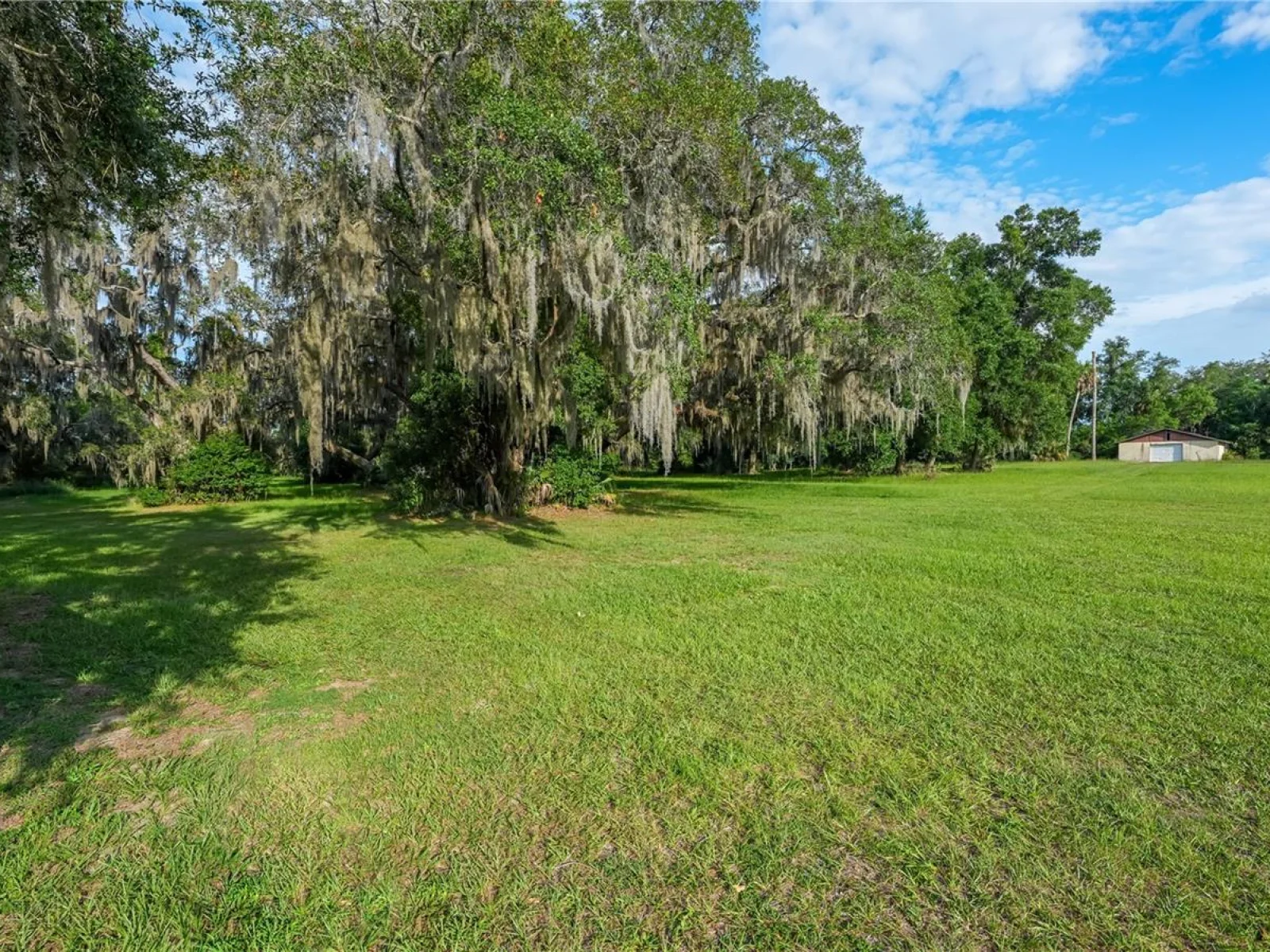 1925 COUNTY ROAD 19A, EUSTIS, FL — photo 28