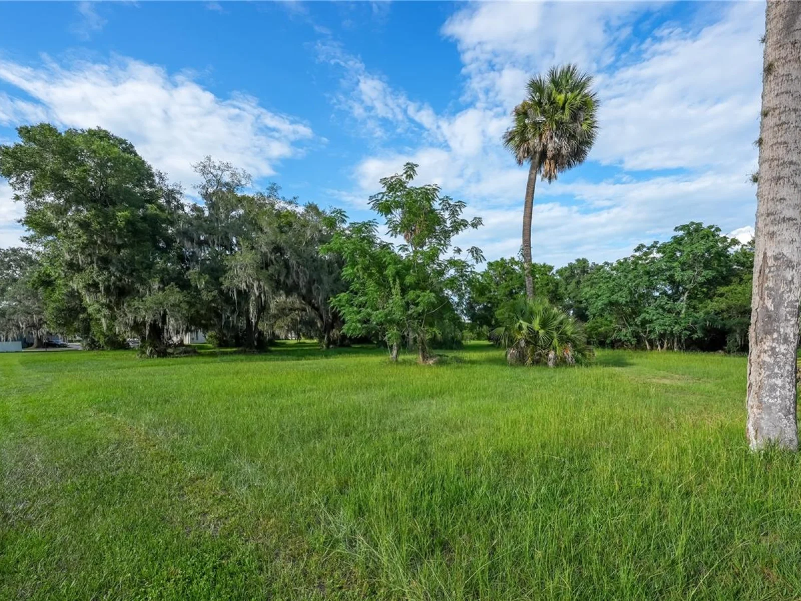 1925 COUNTY ROAD 19A, EUSTIS, FL — photo 33