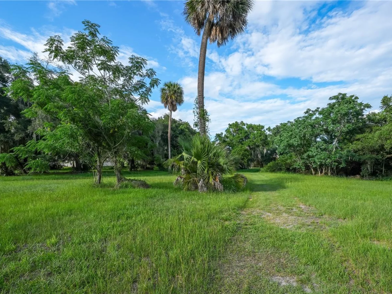 1925 COUNTY ROAD 19A, EUSTIS, FL — photo 34